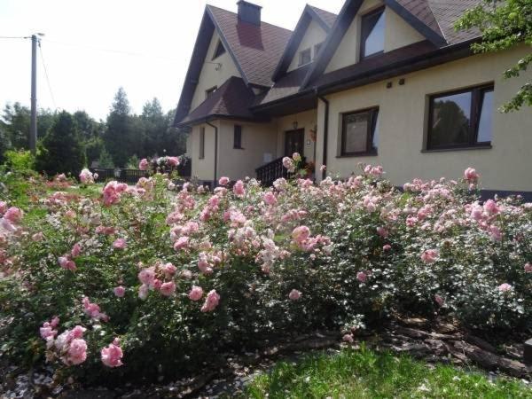 Skalny Apartamenty, Pokoje Ogrodzieniec Exterior foto